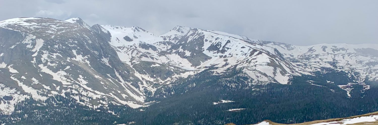 brucebmann's profile banner image
