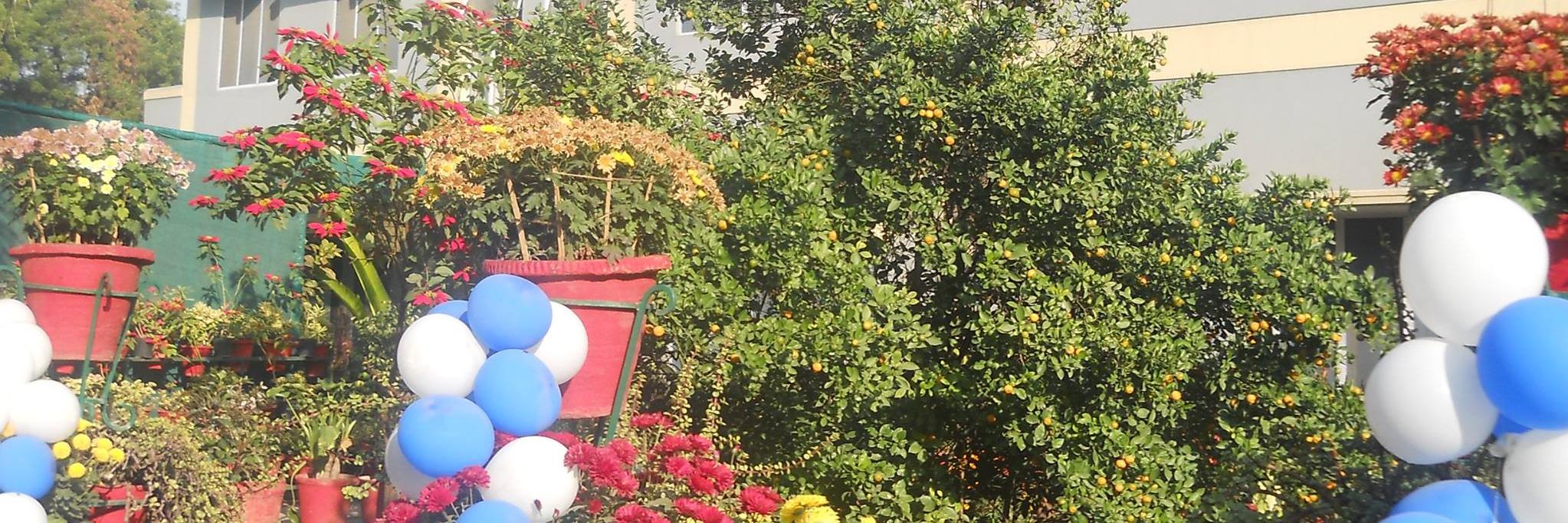 SmritiVeronica's profile banner image