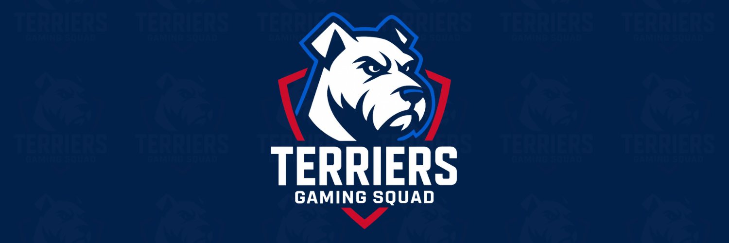 Saint Francis College Terriers banner