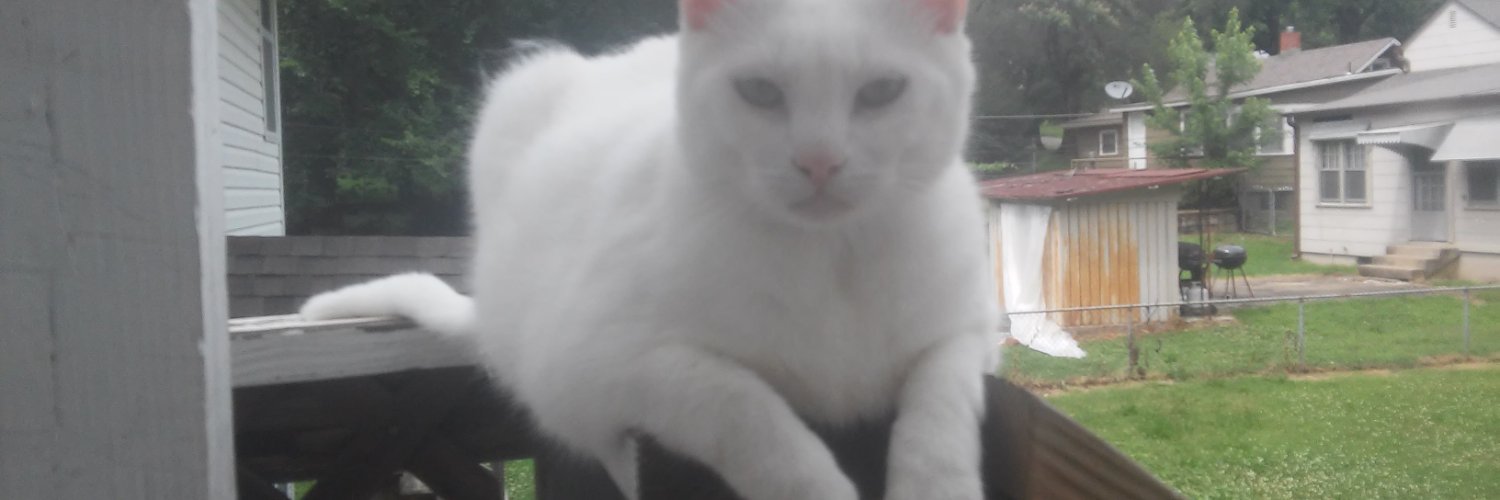 No Zio State Solution banner