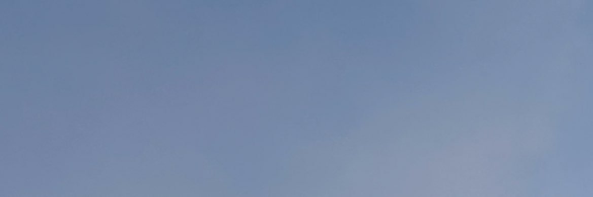蛹 banner