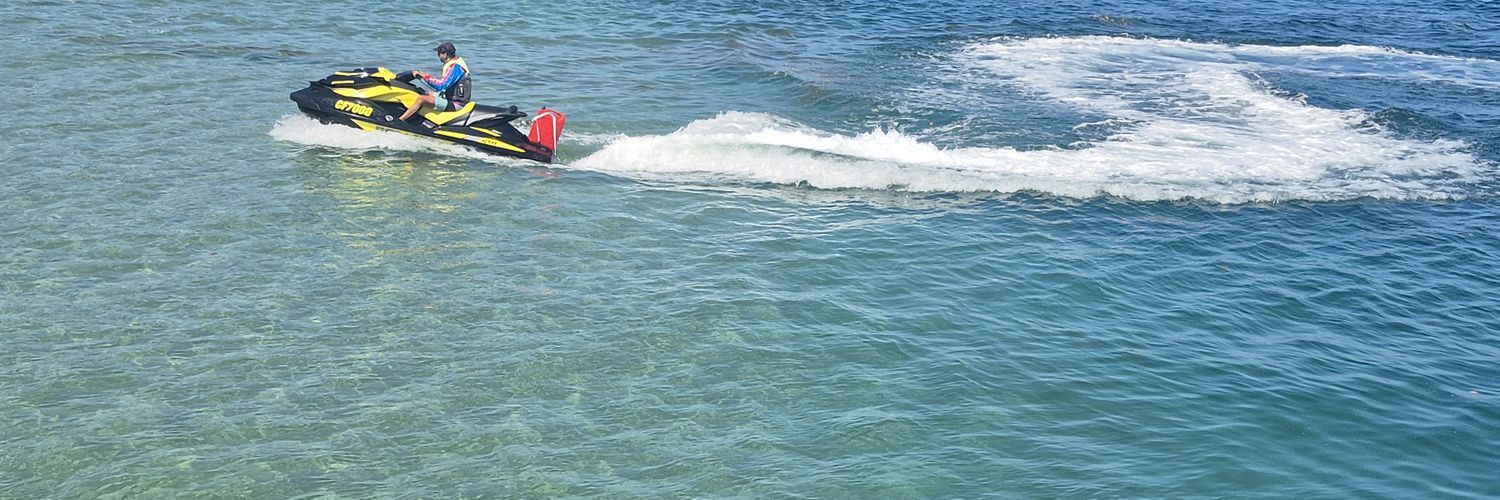 Fretty Castillo banner