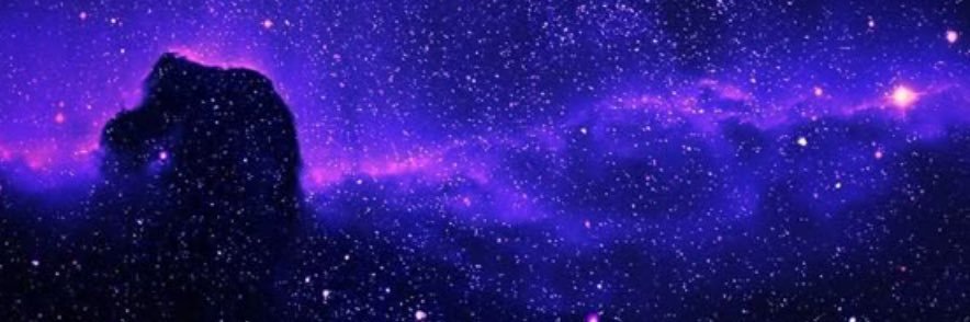 LibLogicLoser's profile banner image