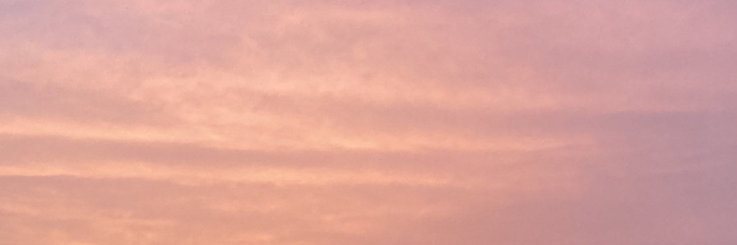 seiriser's profile banner image