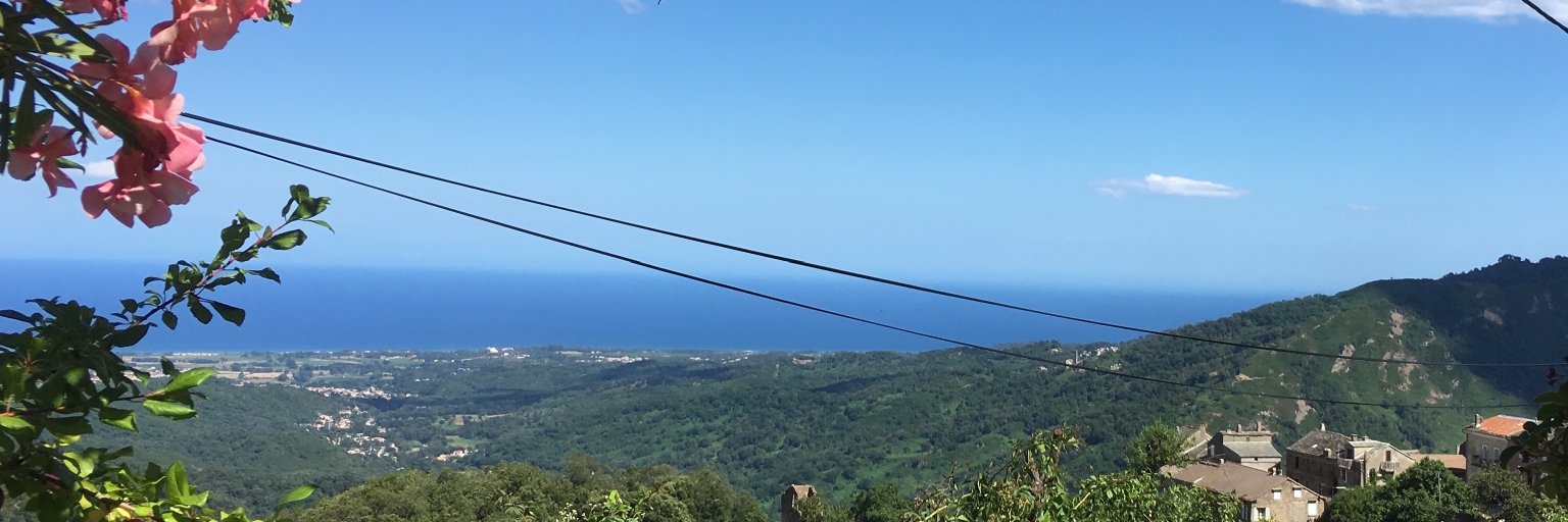 casincali's profile banner image