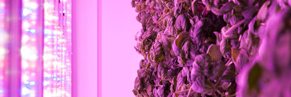 Bright Agrotech banner