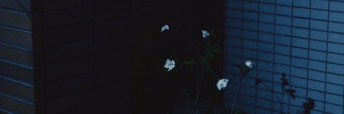 adderallbur's profile banner image