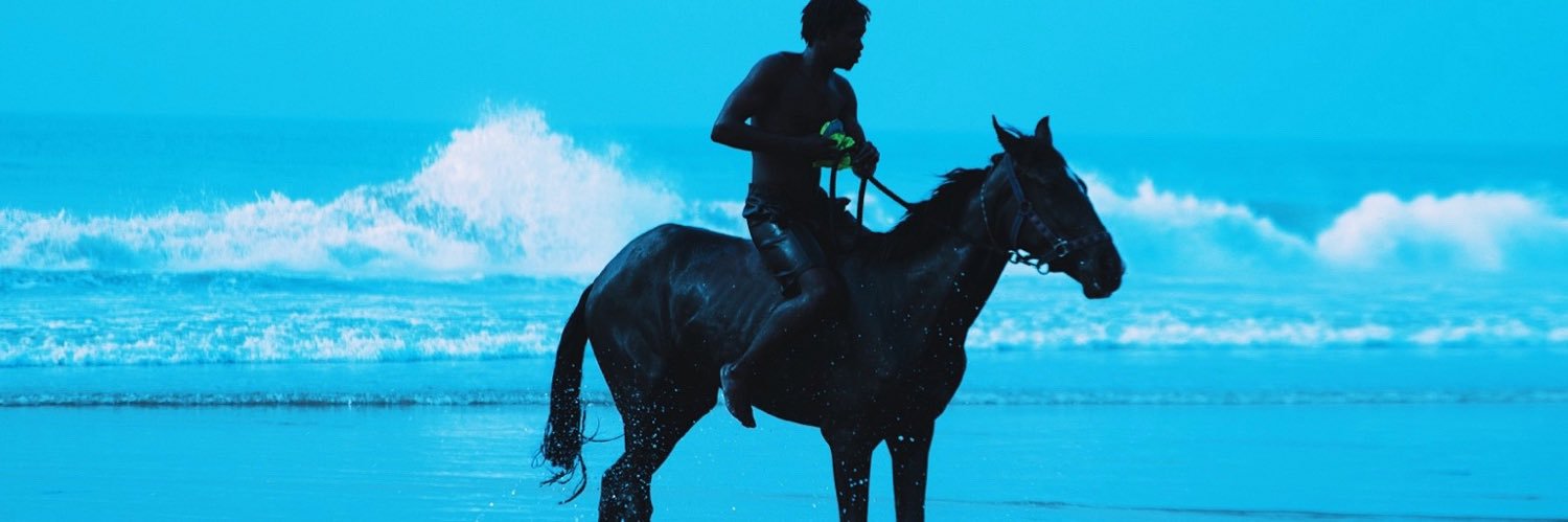 Harry Horseman banner