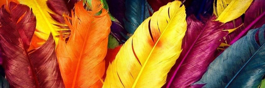 Emirodfig's profile banner image