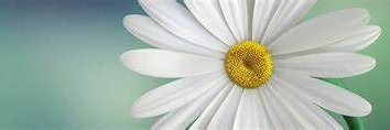 bethiec72's profile banner image
