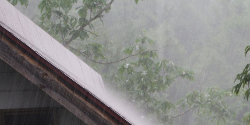MayaWolfie's profile banner image