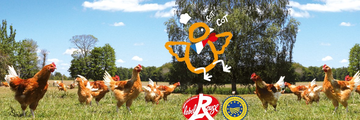Poulet de Janzé banner