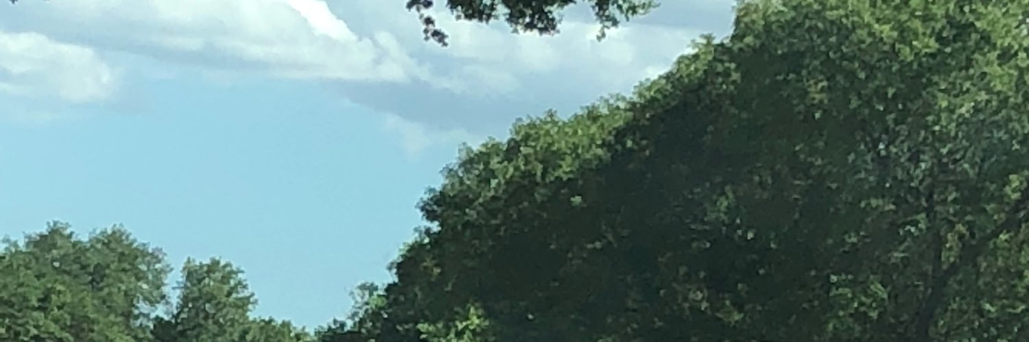 CharlieBFact's profile banner image