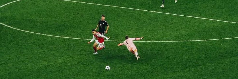 FPL Little Chilli banner