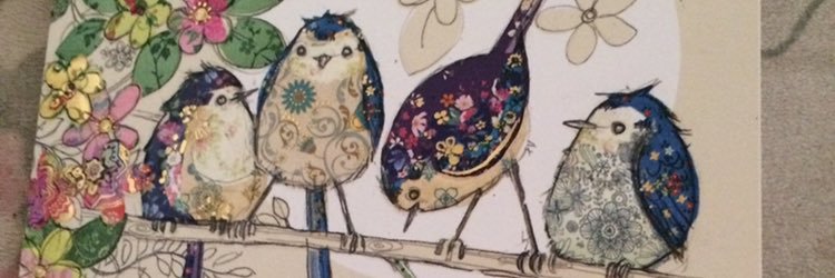 belleruby2's profile banner image