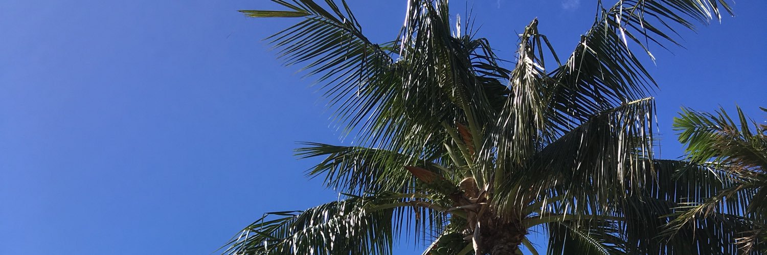 sasa3rd's profile banner image