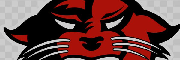 DU_PantherSball Profile Banner