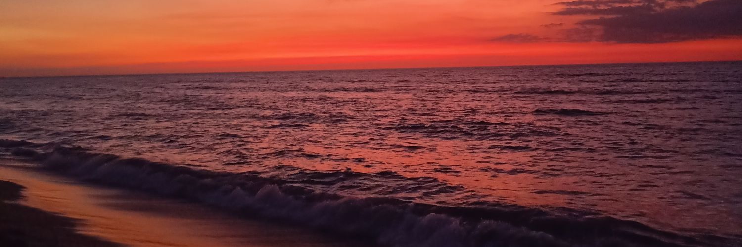 eyeleychbi's profile banner image
