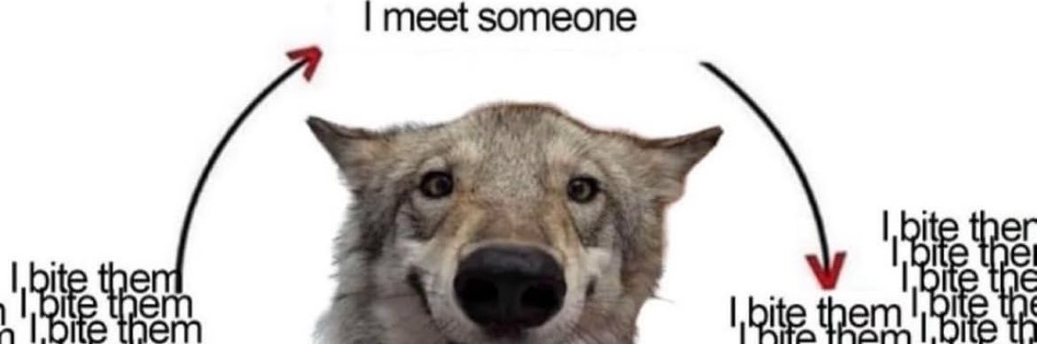 agent robbie ! banner