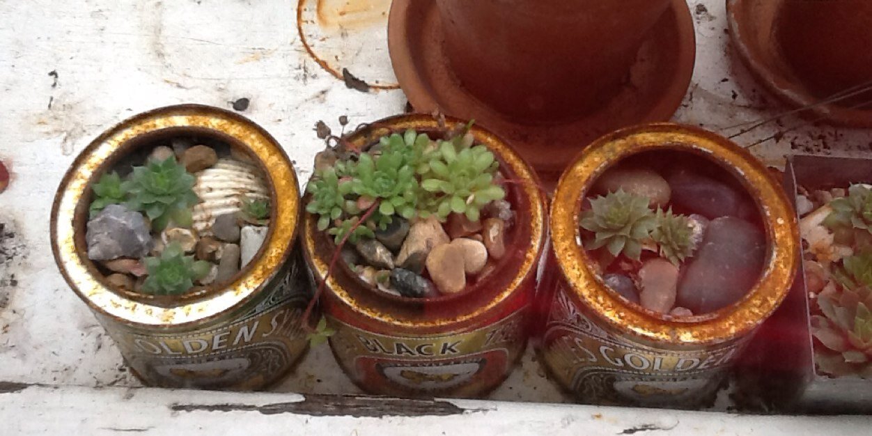 NotGardener's profile banner image