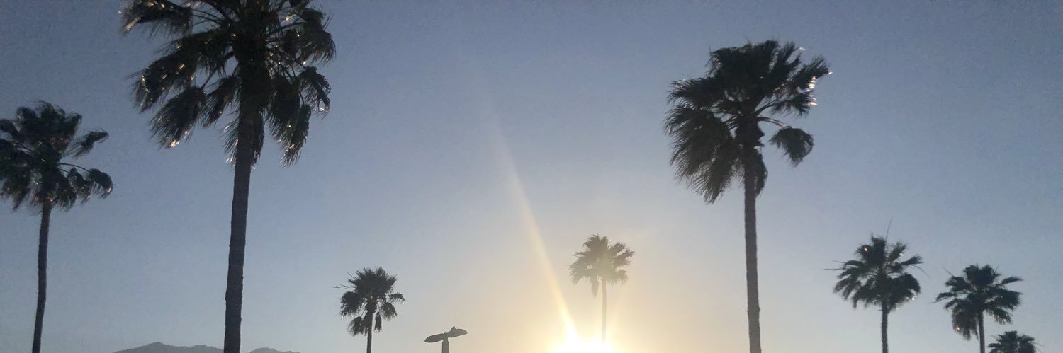 tayylewiss's profile banner image