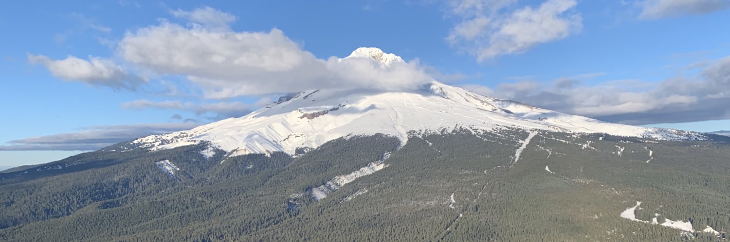 Michael Wright banner