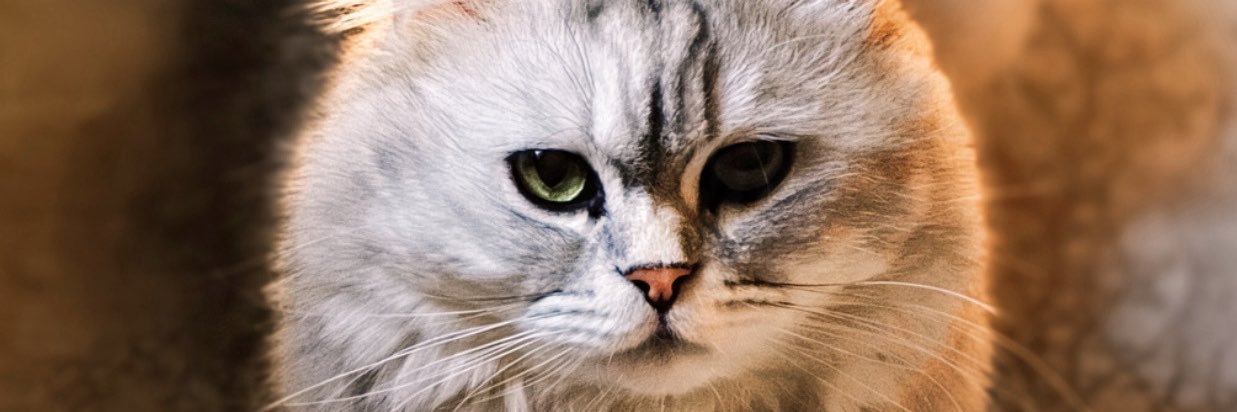 _DarkSoul1's profile banner image