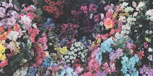 jhunnahyo's profile banner image