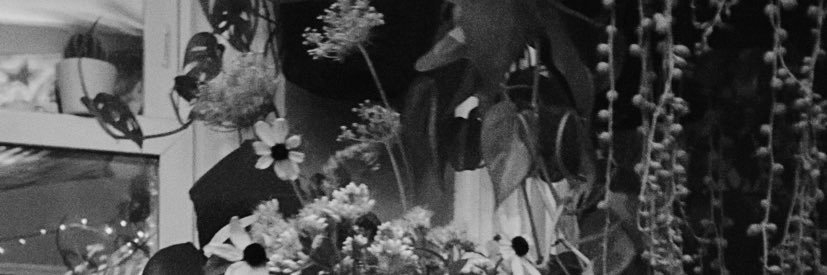 Sclera banner