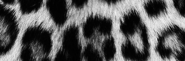 mervgurdal's profile banner image