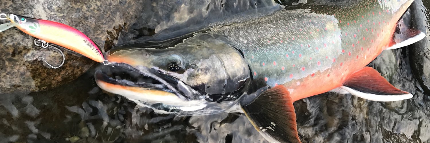 oguogufishing's profile banner image
