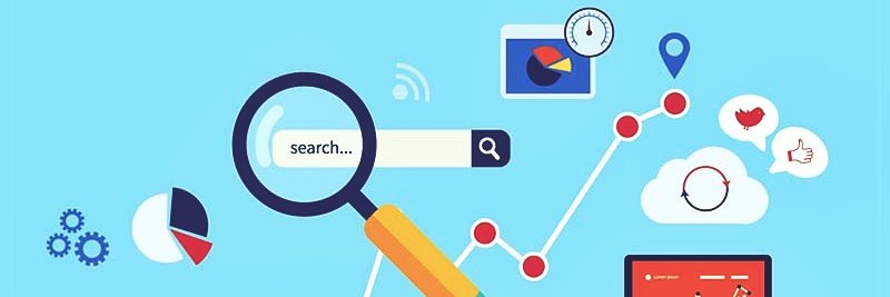 Cryptoads_SEO's profile banner image