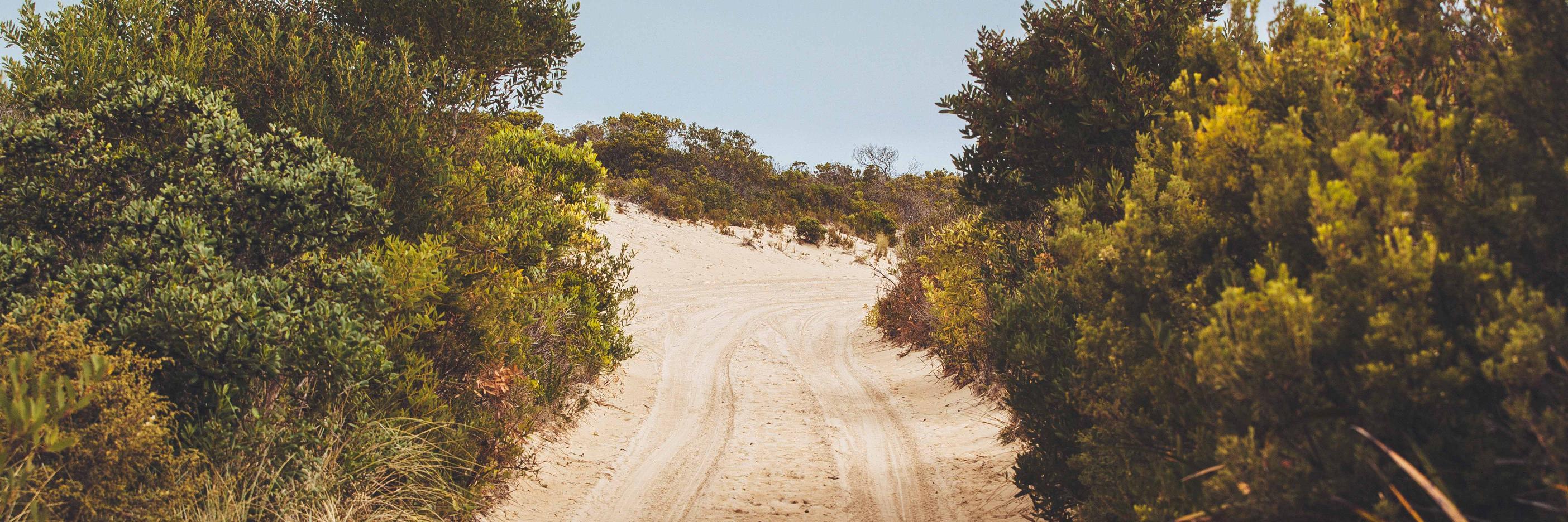 Ellen Mahoney banner