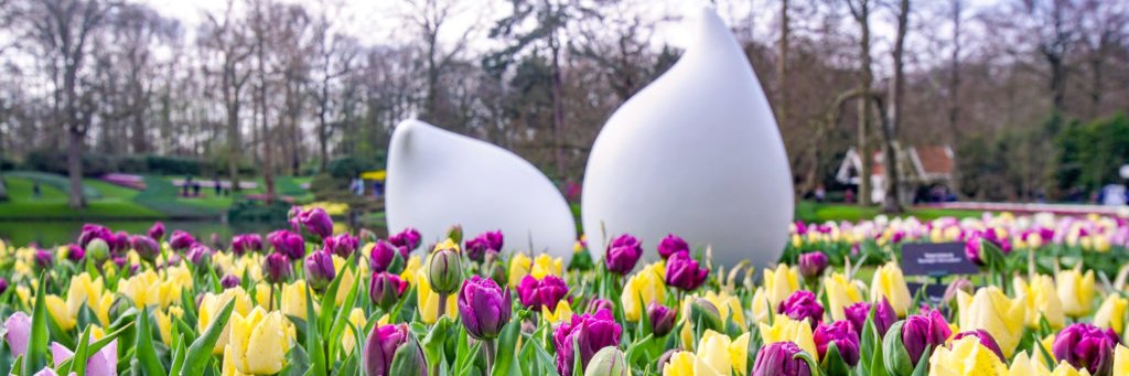 NL Embassy for India, Nepal and Bhutan🇧🇹🇮🇳🇳🇵 banner