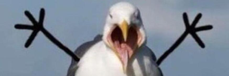 stuifman's profile banner image