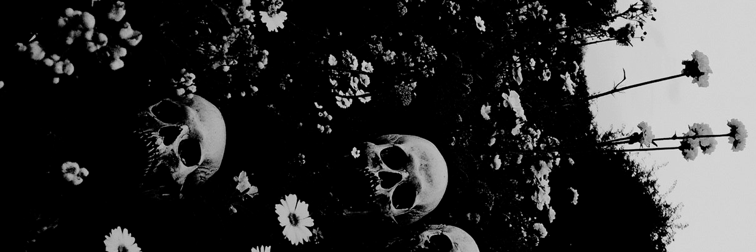 𝑒𝑙𝑖𝑠𝑒. banner