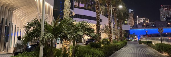 lyylaa_s Profile Banner