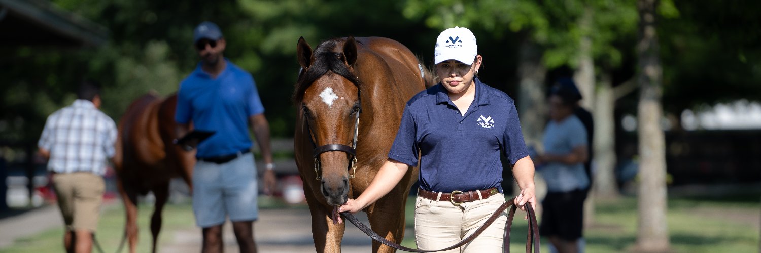 VanMeter Sales banner