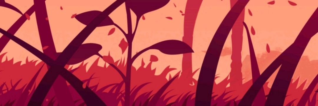 pajarft's profile banner image
