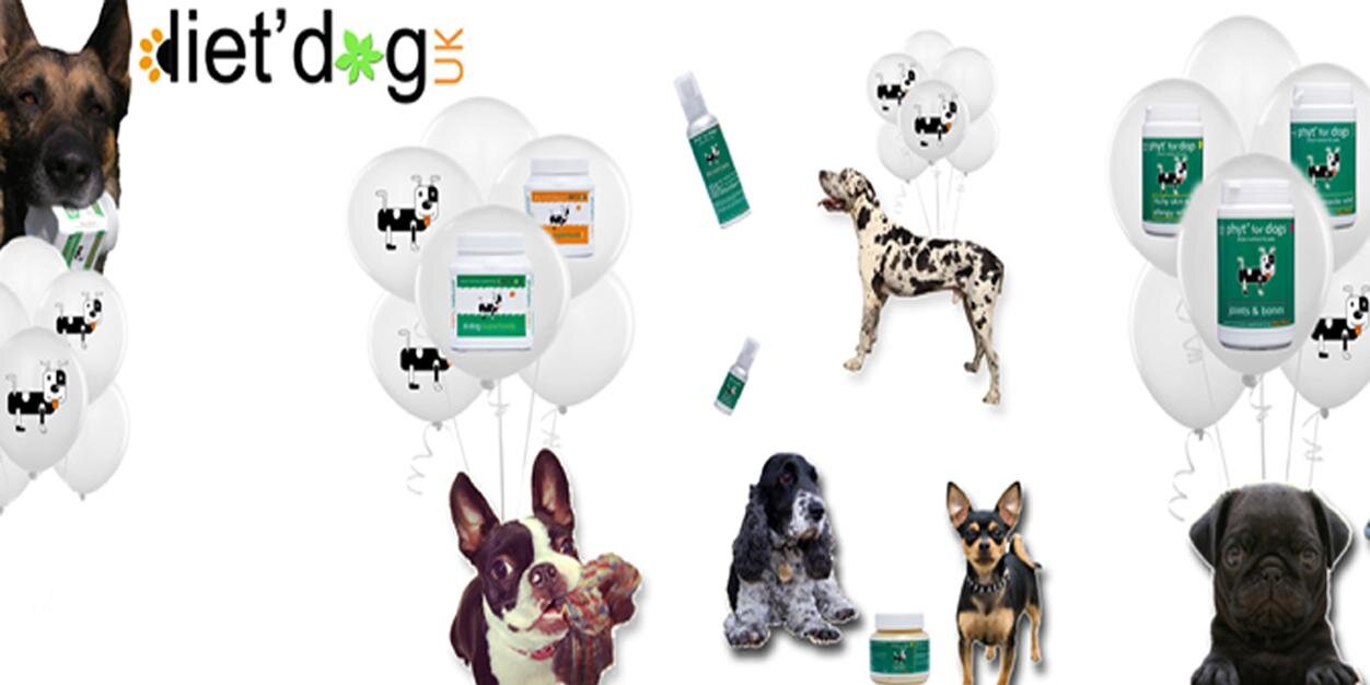 DietDoGUK's profile banner image