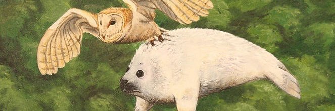 LexofConfusion's profile banner image