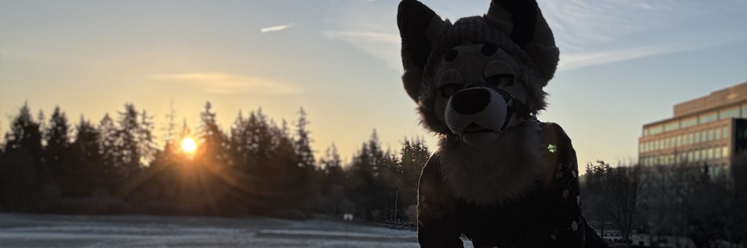 ZnowyBS banner