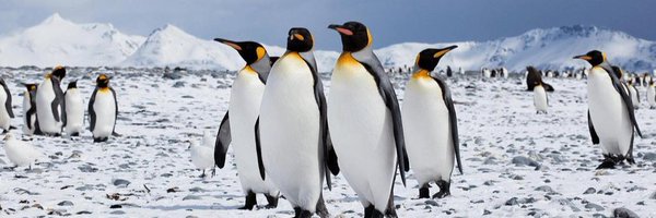 computernewage Profile Banner