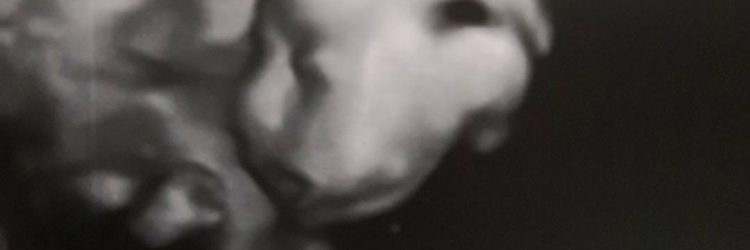 Mara_Salinas's profile banner image