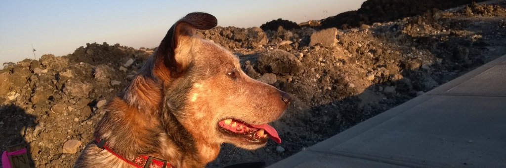 Preecington's profile banner image