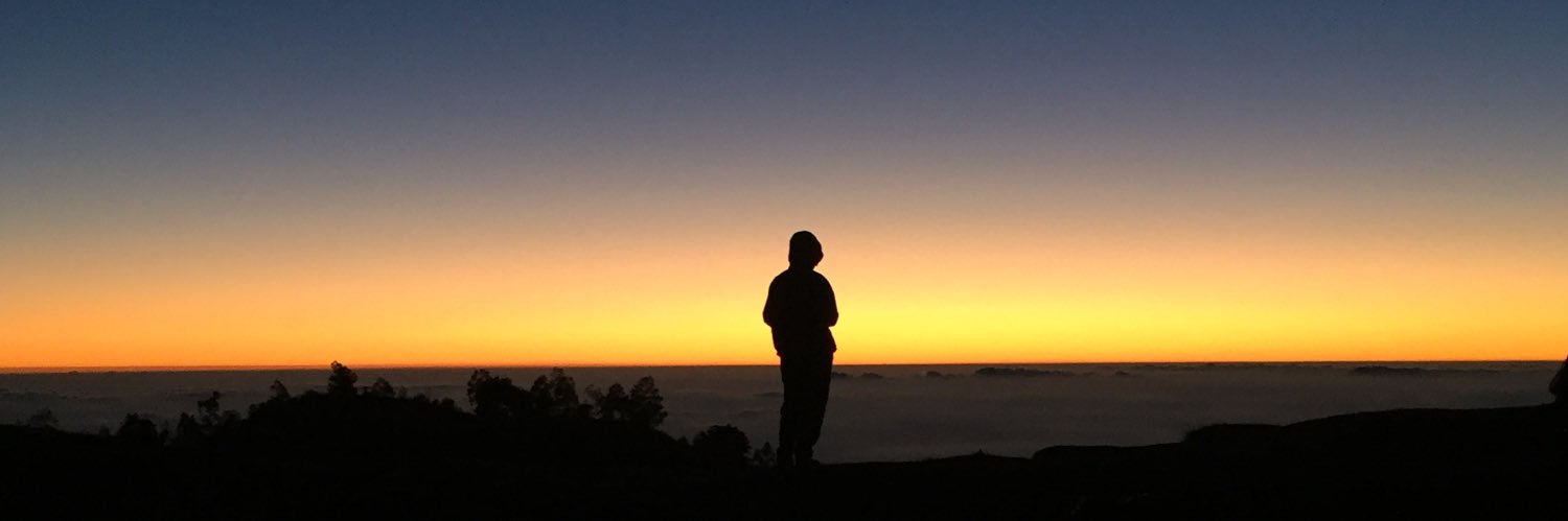 aryaniari's profile banner image