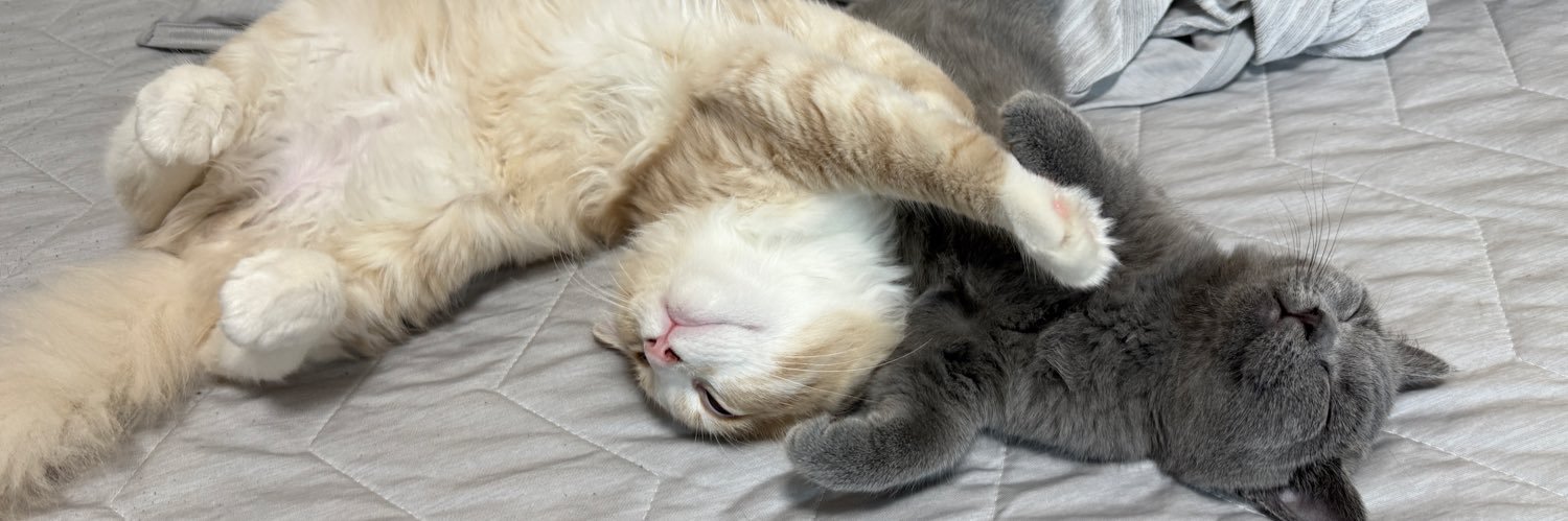 Juic🐈🐈‍⬛ banner