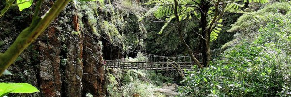 Michaeldownunda Profile Banner