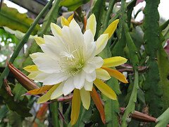 dira_sukma's profile banner image