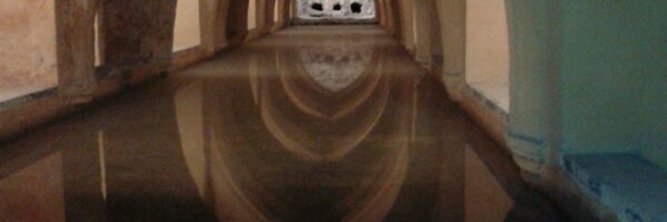 CRUITU Profile Banner
